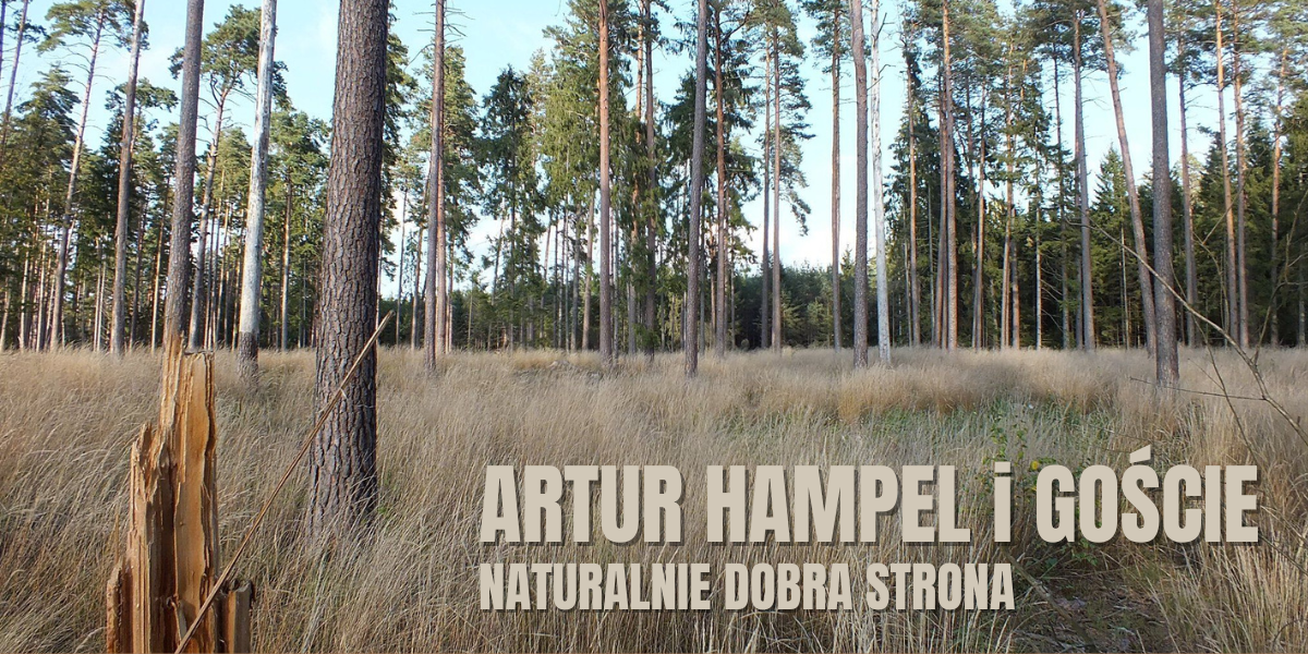 Artur Hampel